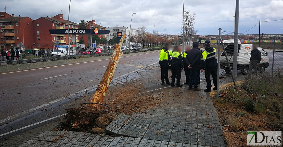 Accidente mortal en Mérida capital