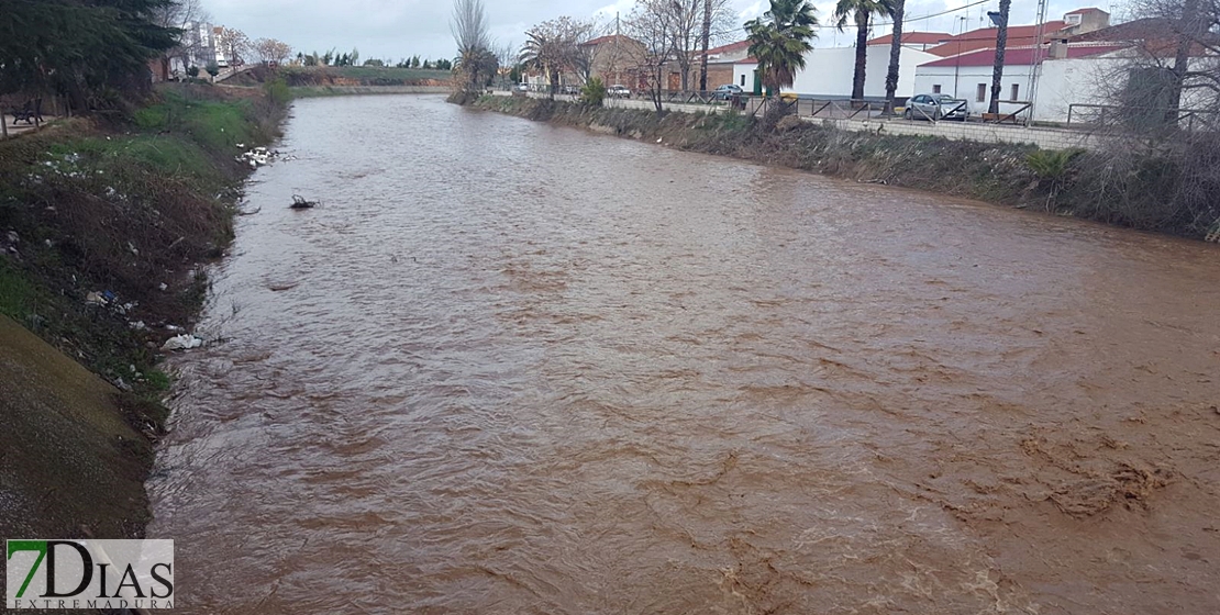 PRECAUCIÓN: Así bajan los arroyos y ríos en Tierra de Barros y Sierra Suroeste