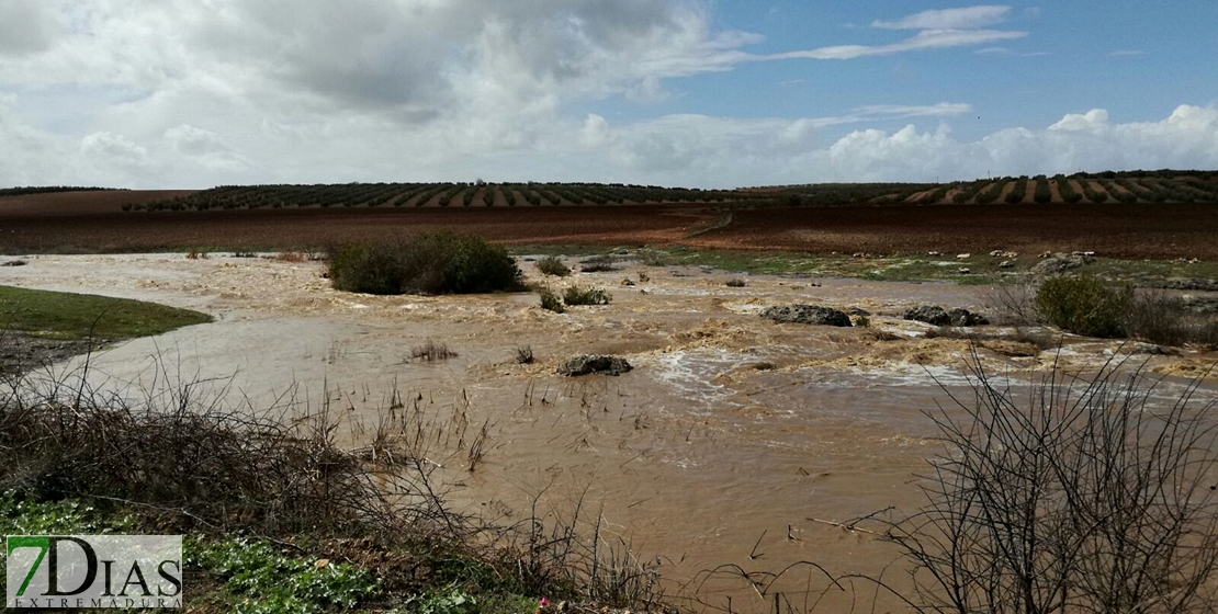 PRECAUCIÓN: Así bajan los arroyos y ríos en Tierra de Barros y Sierra Suroeste