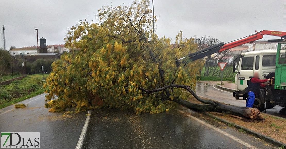 Imágenes que está dejando la Borrasca Gisele en Extremadura