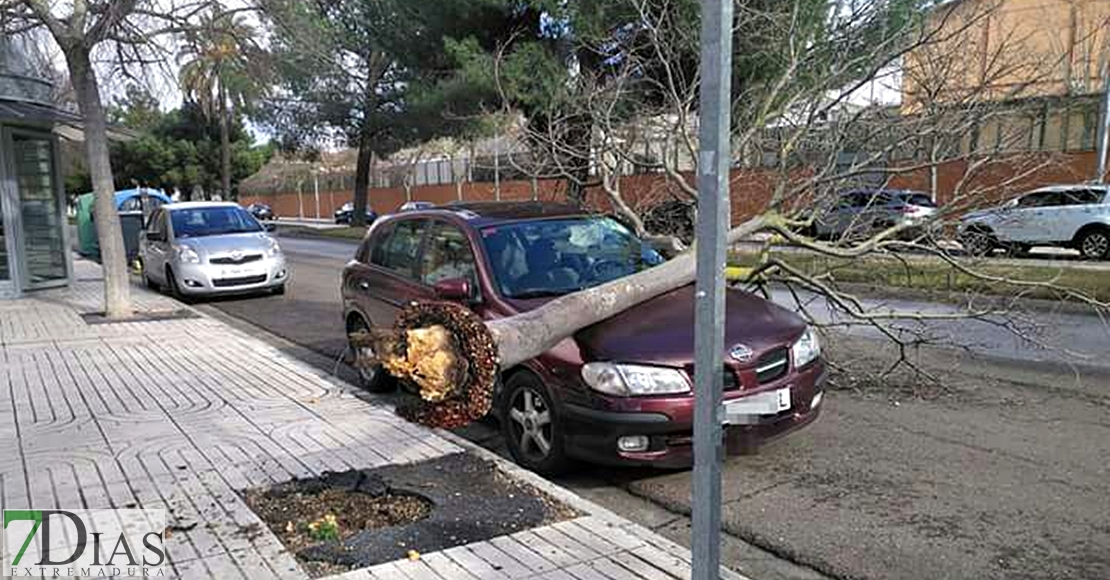 Imágenes que está dejando la Borrasca Gisele en Extremadura