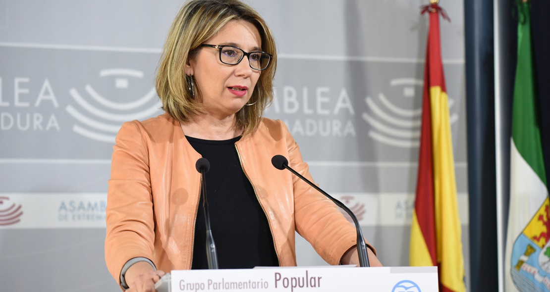 El PP exigirá explicaciones a Vergeles por el “caos sanitario” que vive la región