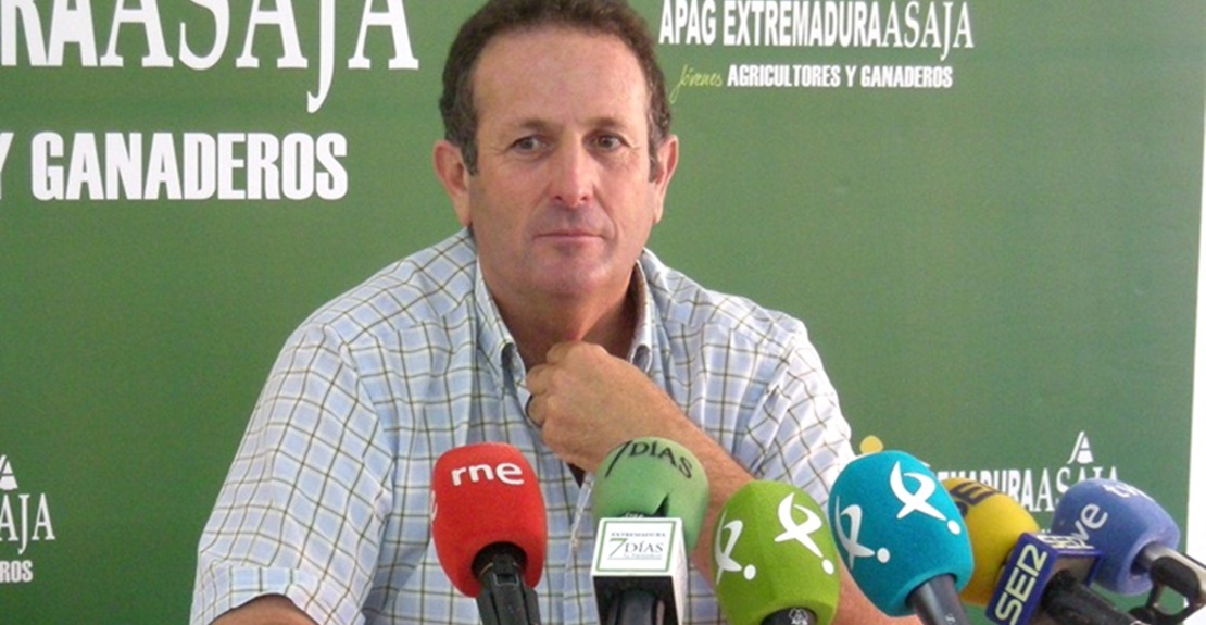 APAG: “La Junta debe al sector olivarero extremeño 9,5 millones”