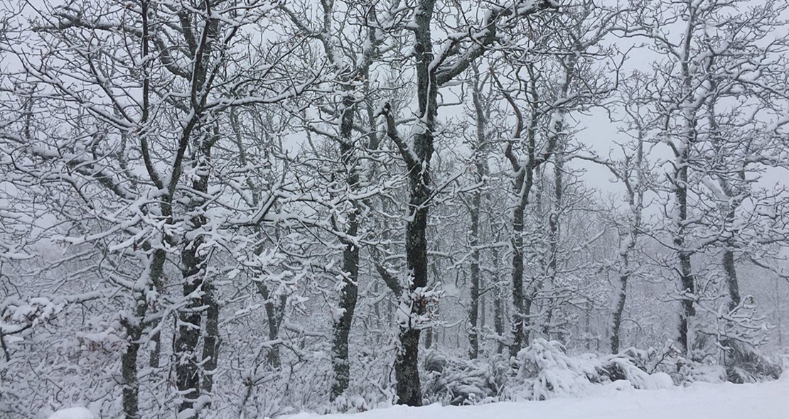 La nieve visita el norte de Extremadura por encima de 800 metros