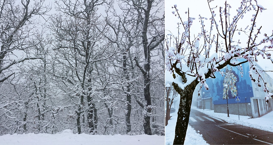 La nieve visita el norte de Extremadura por encima de 800 metros