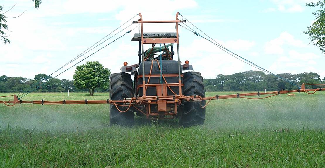 Los ecologistas informan sobre los perjuicios de los disruptores endocrinos para la salud