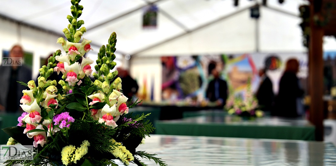 Ambiente en la VII Feria del Espárrago y la Tagarnina en Alconchel