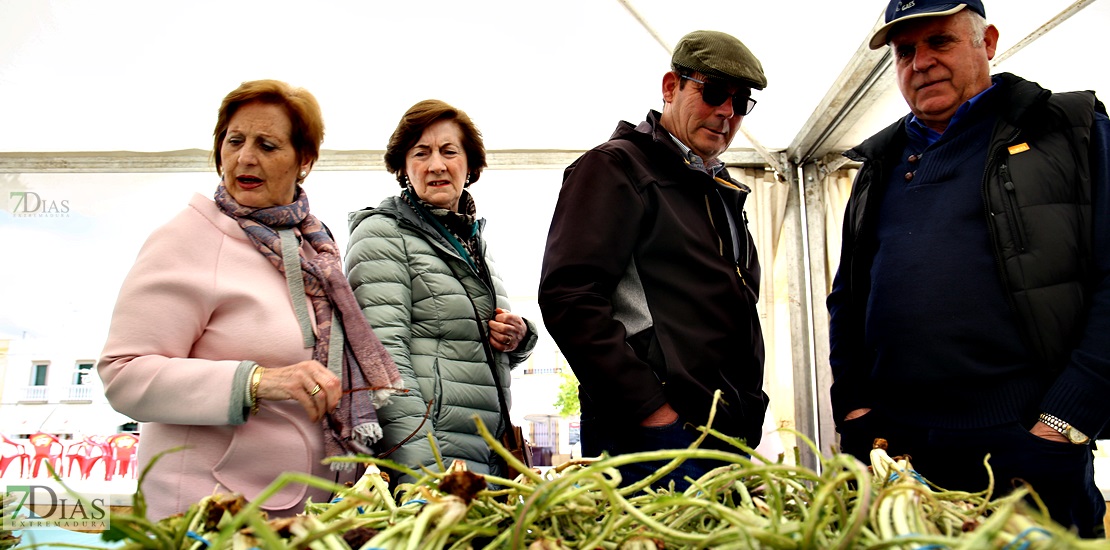 Ambiente en la VII Feria del Espárrago y la Tagarnina en Alconchel