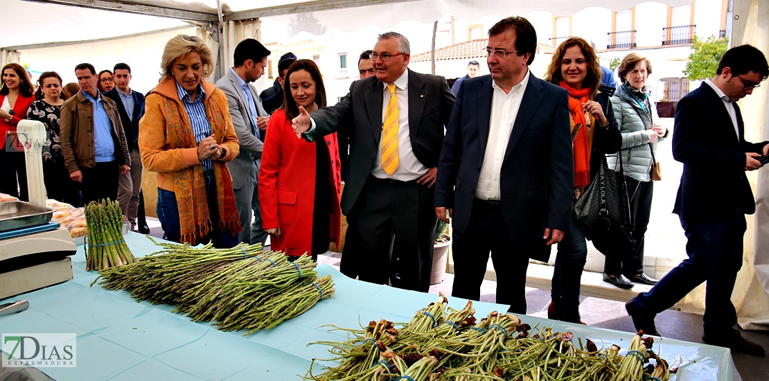 Ambiente en la VII Feria del Espárrago y la Tagarnina en Alconchel