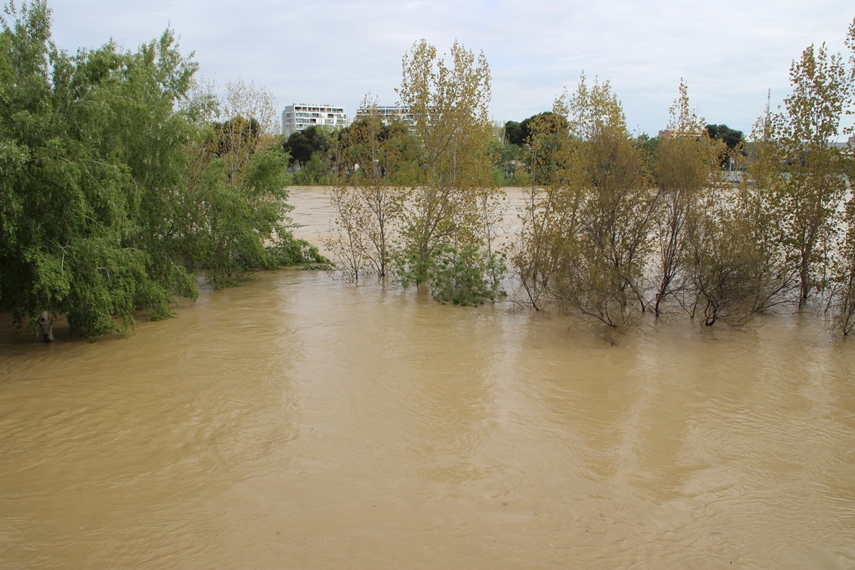 La crecida del Ebro en imágenes