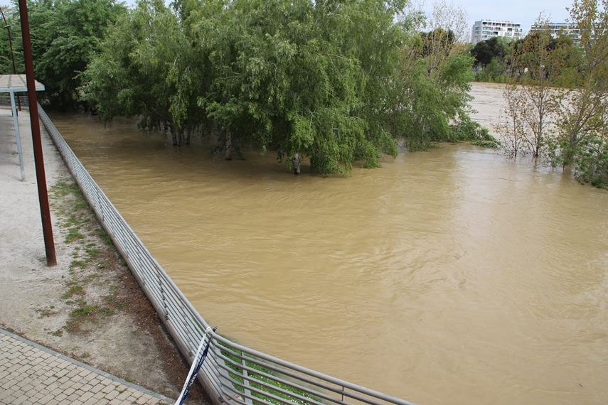 La crecida del Ebro en imágenes