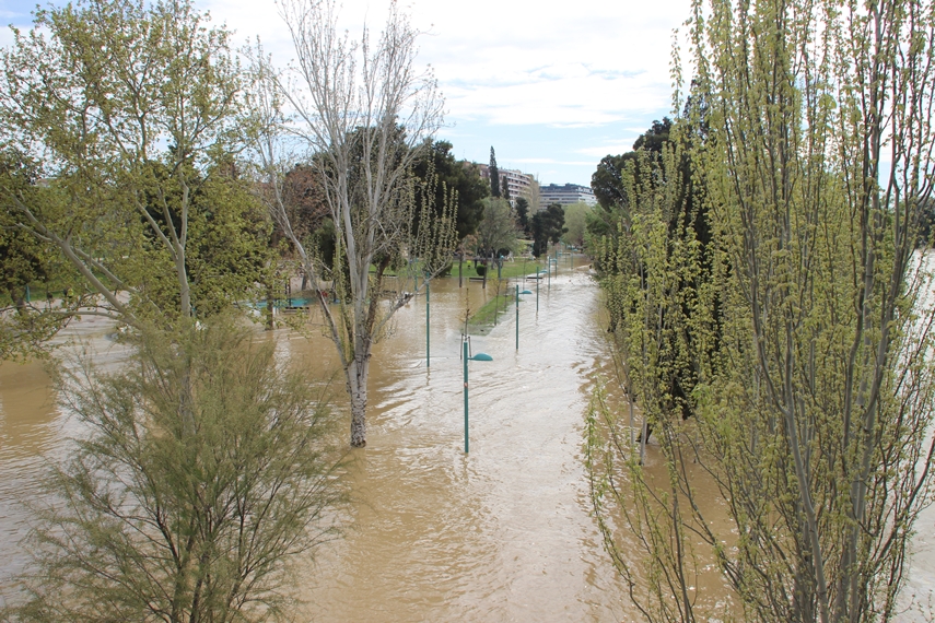 La crecida del Ebro en imágenes