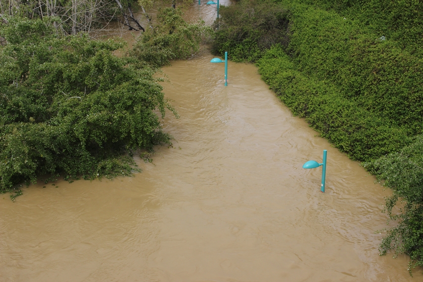 La crecida del Ebro en imágenes