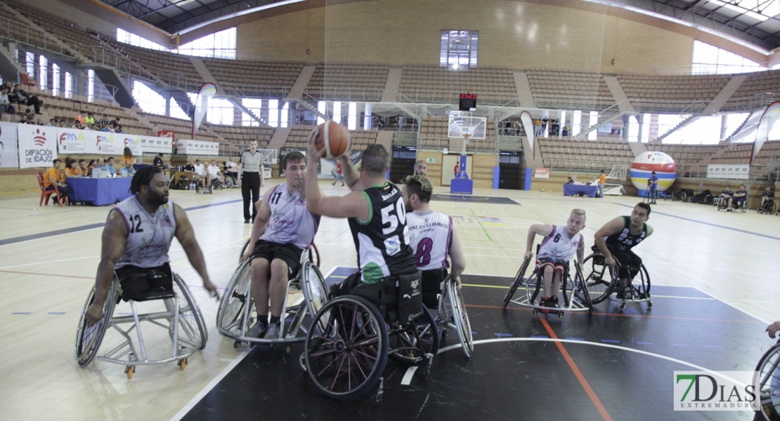 Imágenes del Rhine River Rhinos Wiesbaden 40 - 56 Mideba Extremadura