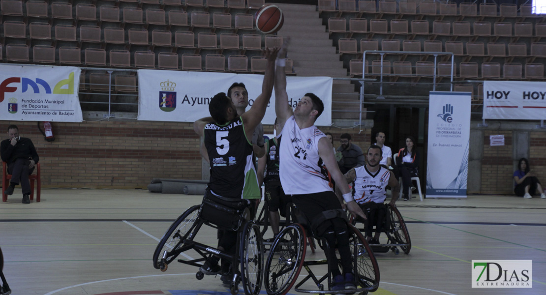 Imágenes del Leopards Bordeaux 46 - 56 Mideba Extremadura