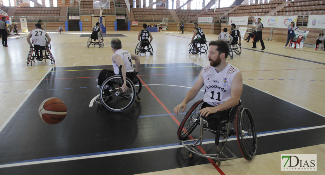 Imágenes del Leopards Bordeaux 46 - 56 Mideba Extremadura