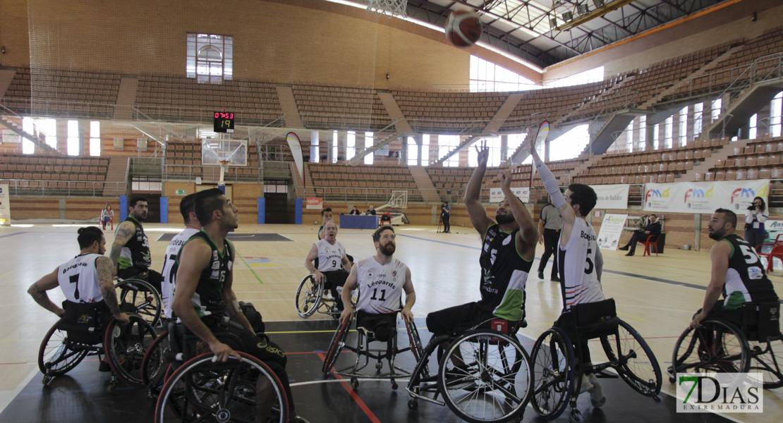 Imágenes del Leopards Bordeaux 46 - 56 Mideba Extremadura