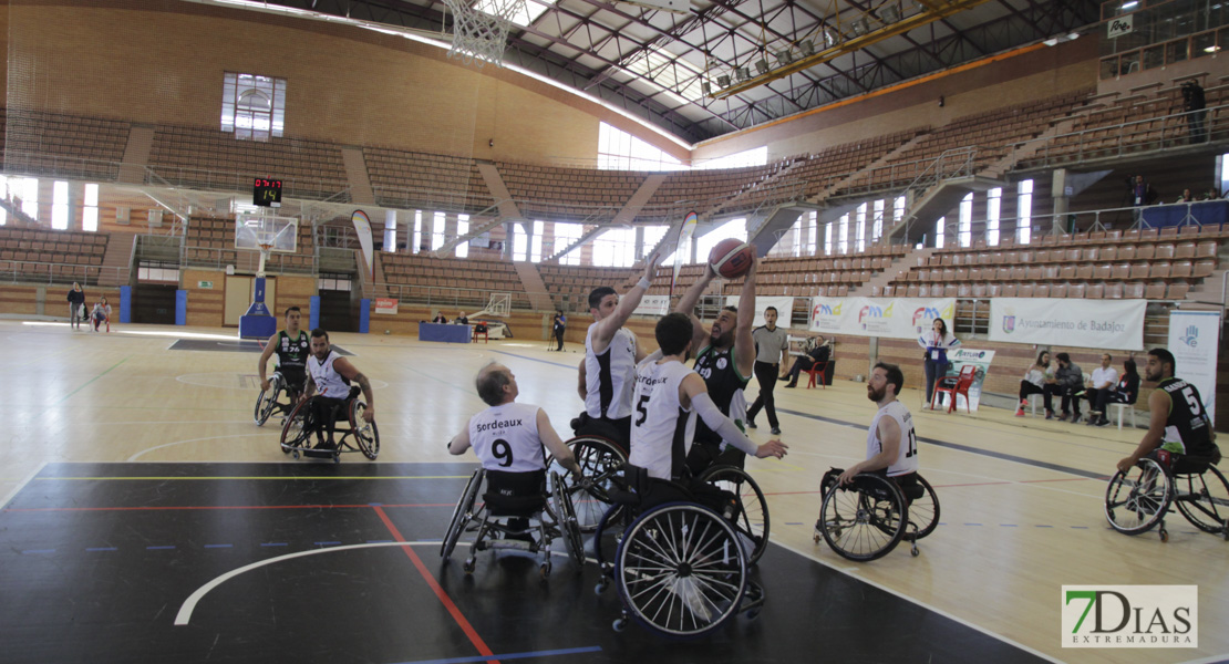 Imágenes del Leopards Bordeaux 46 - 56 Mideba Extremadura