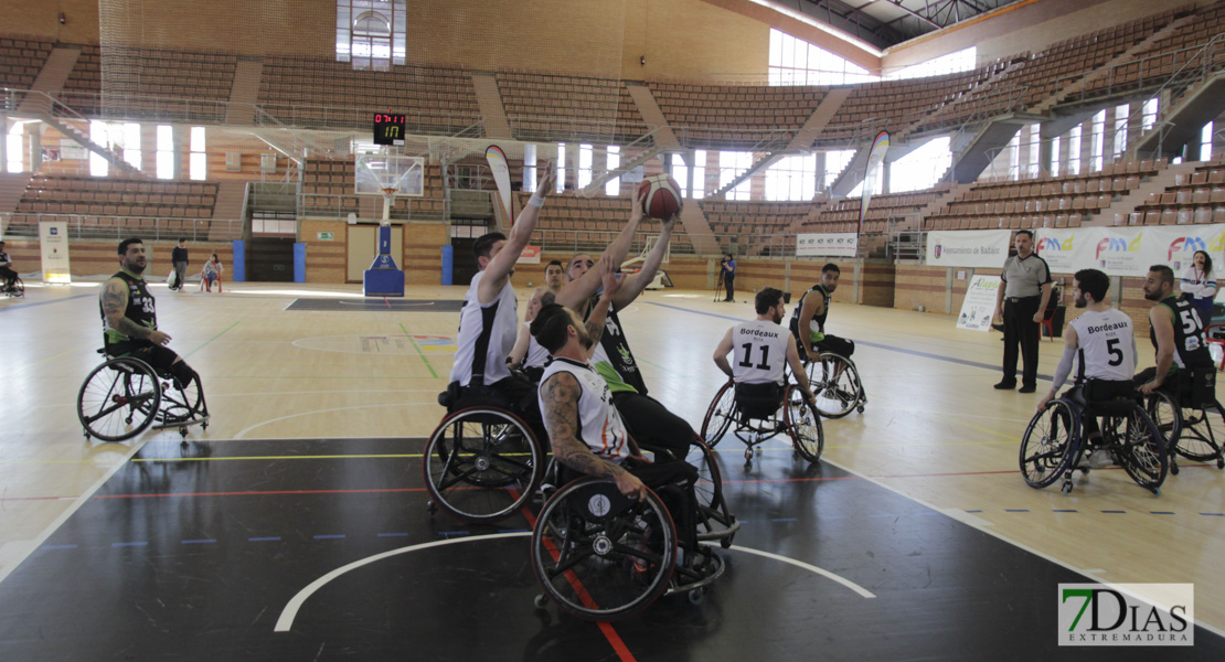 Imágenes del Leopards Bordeaux 46 - 56 Mideba Extremadura