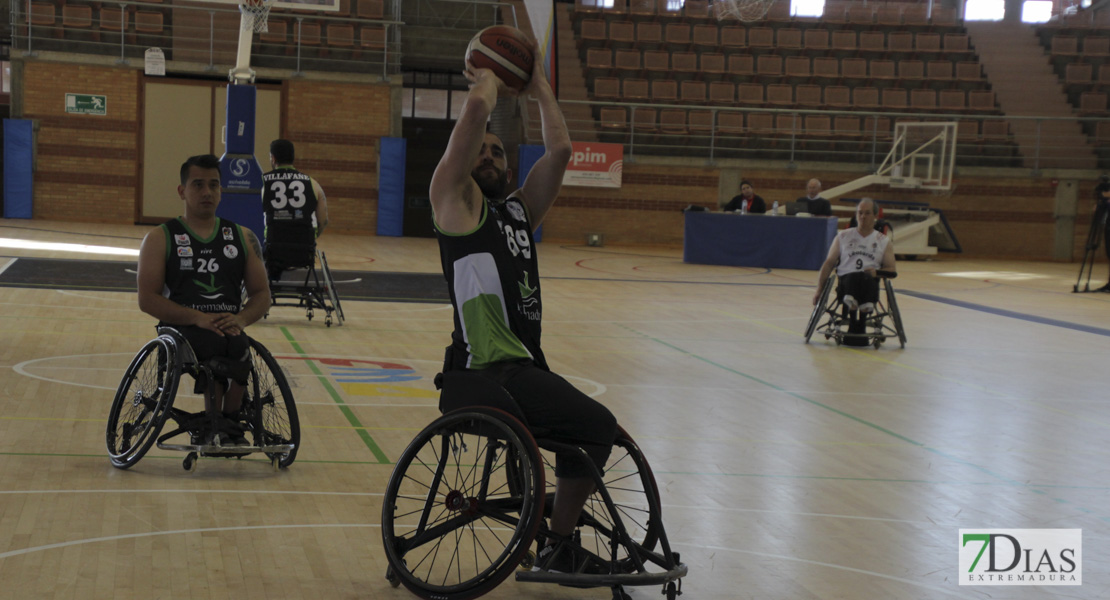 Imágenes del Leopards Bordeaux 46 - 56 Mideba Extremadura