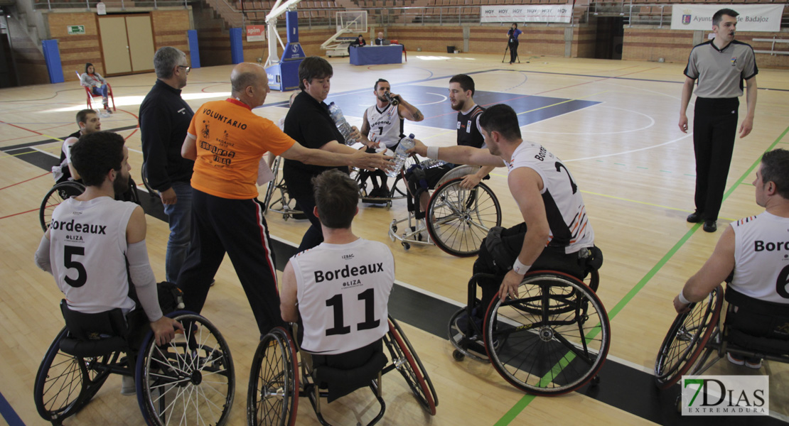 Imágenes del Leopards Bordeaux 46 - 56 Mideba Extremadura