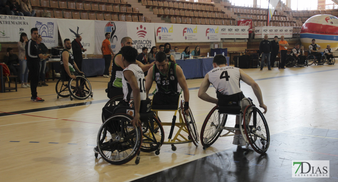 Imágenes del Leopards Bordeaux 46 - 56 Mideba Extremadura