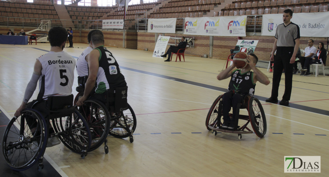 Imágenes del Leopards Bordeaux 46 - 56 Mideba Extremadura