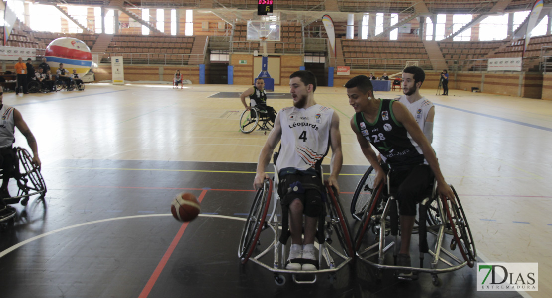 Imágenes del Leopards Bordeaux 46 - 56 Mideba Extremadura