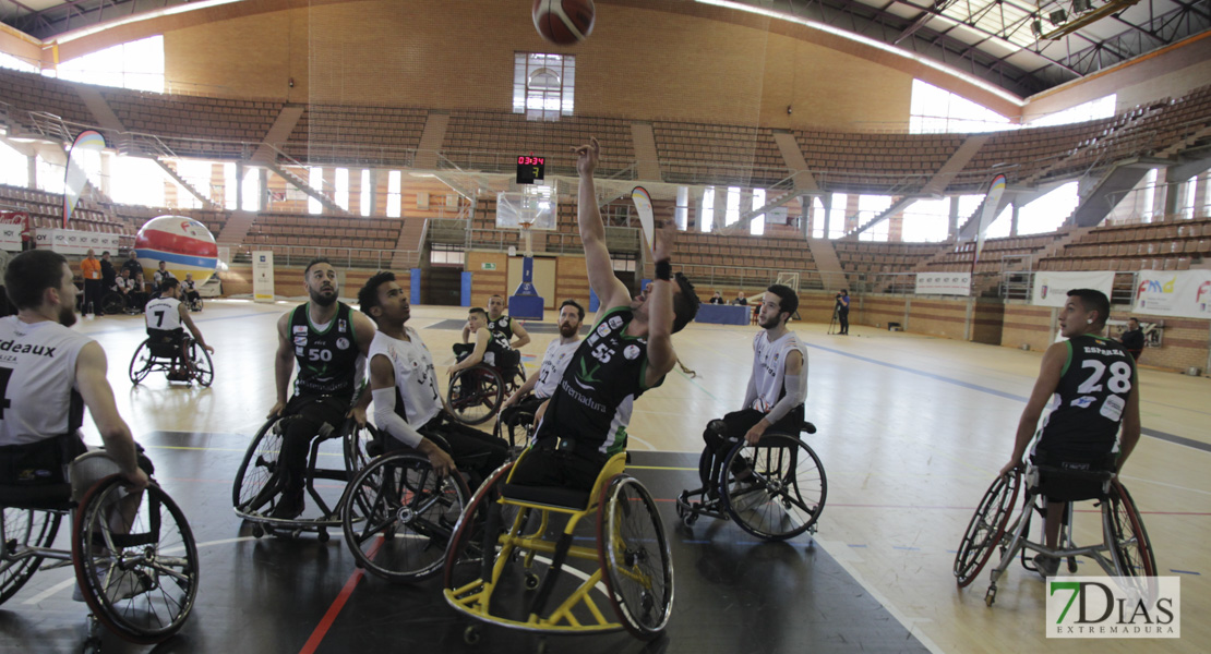 Imágenes del Leopards Bordeaux 46 - 56 Mideba Extremadura