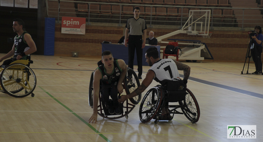 Imágenes del Leopards Bordeaux 46 - 56 Mideba Extremadura