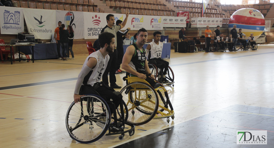 Imágenes del Leopards Bordeaux 46 - 56 Mideba Extremadura