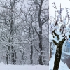 La nieve visita el norte de Extremadura por encima de 800 metros