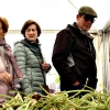 Ambiente en la VII Feria del Espárrago y la Tagarnina en Alconchel