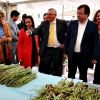 Ambiente en la VII Feria del Espárrago y la Tagarnina en Alconchel