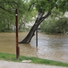 La crecida del Ebro en imágenes