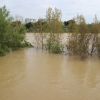 La crecida del Ebro en imágenes