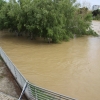 La crecida del Ebro en imágenes