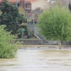 La crecida del Ebro en imágenes