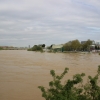 La crecida del Ebro en imágenes