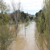 La crecida del Ebro en imágenes