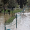 La crecida del Ebro en imágenes