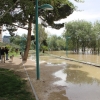 La crecida del Ebro en imágenes
