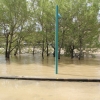 La crecida del Ebro en imágenes