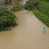 La crecida del Ebro en imágenes