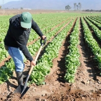 Convenio para mejorar las condiciones financieras de los agricultores extremeños