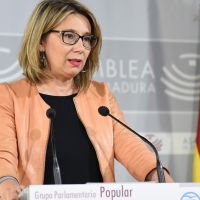 El PP exigirá explicaciones a Vergeles por el “caos sanitario” que vive la región