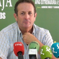 APAG: “La Junta debe al sector olivarero extremeño 9,5 millones”