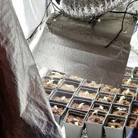 Detenido tras vender estupefacientes en su domicilio