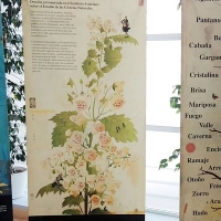 Una exposición que une la literatura y la naturaleza en torno a la Ruta de la Plata
