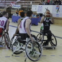 Imágenes del Rhine River Rhinos Wiesbaden 40 - 56 Mideba Extremadura